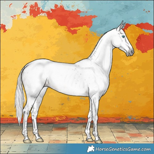 Horse Color:Gray White Spotted Silver Buckskin Splash Tobiano 