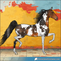 Horse Color:Gray White Spotted Buckskin Tobiano Appaloosa 
