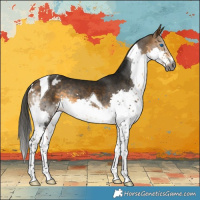 Horse Color:Gray Buckskin Splash Tobiano Varnish 