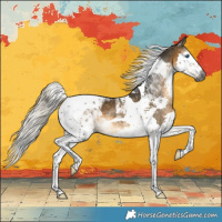 Horse Color:Gray Silver Buckskin Splash Tobiano 