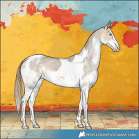 Horse Color:Buckskin Dun Splash Tobiano Varnish 