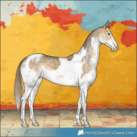 Horse Color:Buckskin Dun Splash Tobiano Varnish 