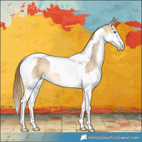 Horse Color:Buckskin Dun Splash Tobiano Varnish 
