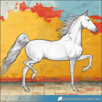 Horse Color:Gray White Spotted Buckskin Splash Tobiano Varnish 