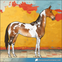Horse Color:Gray White Spotted Buckskin Tobiano 