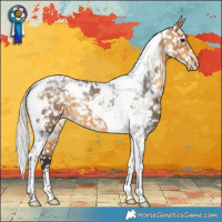 Horse Color:White Spotted Silver Buckskin Tobiano Snowflake Varnish 