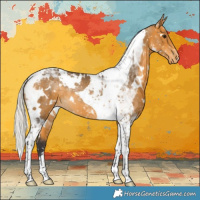 Horse Color:White Spotted Silver Buckskin Tobiano Snowflake Varnish 