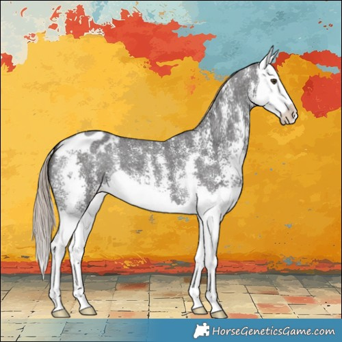 Horse Color:Liver Chestnut Sabino Splash Varnish 