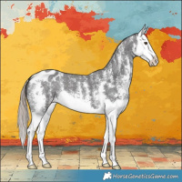 Horse Color:Liver Chestnut Sabino Splash Varnish 