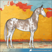 Horse Color:Liver Red Dun Sabino Splash Varnish 