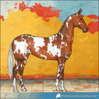 Horse Color:White Spotted Silver Bay 