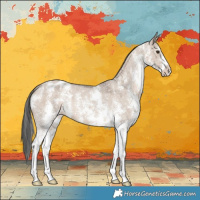 Horse Color:Liver Red Dun Sabino Varnish 