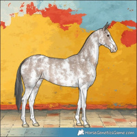Horse Color:Liver Red Dun Sabino Varnish 