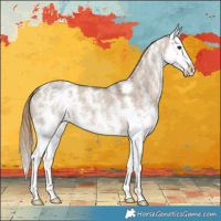Horse Color:Liver Red Dun Sabino Splash Appaloosa 