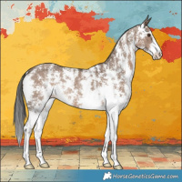 Horse Color:Liver Red Dun Sabino Rabicano 