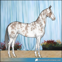 Horse Color:Liver Red Dun Sabino Rabicano 