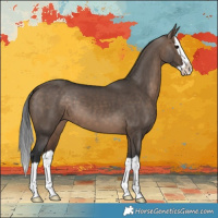 Horse Color:Brown Dun Splash 