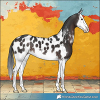 Horse Color:White Spotted Brown Mushroom Splash Appaloosa 