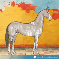 Horse Color:Liver Red Dun Mushroom Sabino 