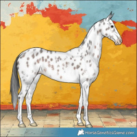 Horse Color:Brown Sabino Leopard 