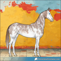 Horse Color:Chestnut Sabino Splash 