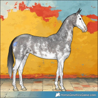Horse Color:Brown Sabino Splash 