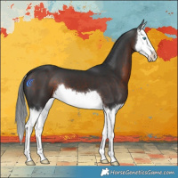 Horse Color:Brown Splash
