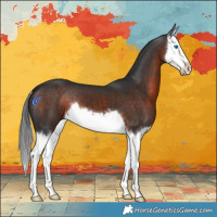 Horse Color:Brown Splash 