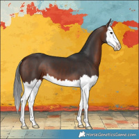 Horse Color:Bay Splash 