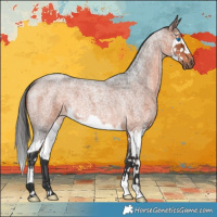 Horse Color:Brown Roan Mushroom Splash