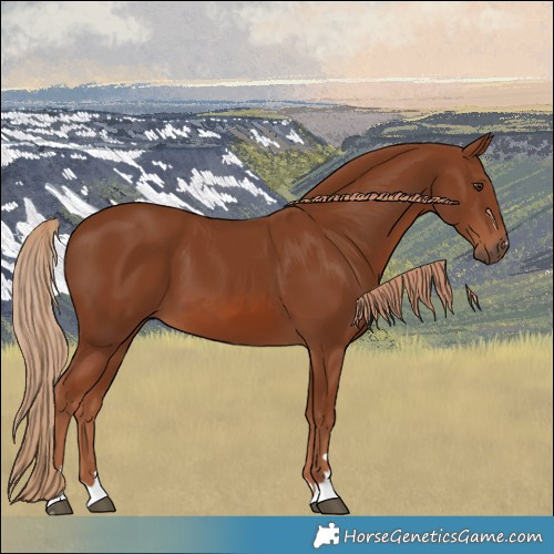 Horse Color:Chestnut 