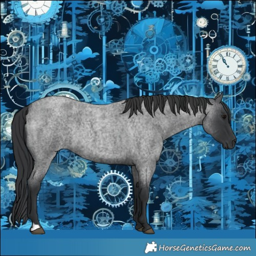 Horse Color:Blue Roan Rabicano 