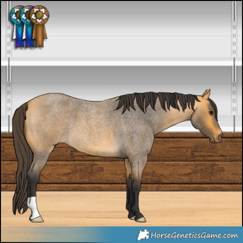 Horse Color:Buckskin Roan 