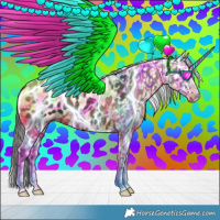 Horse Color:Black Near Leopard 