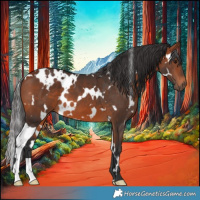 Horse Color:White Spotted Bay 