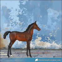 Horse Color:Brown 