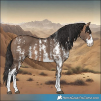 Horse Color:Bay Dun Sabino