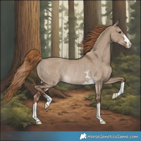 Horse Color:Liver Red Dun Rabicano 