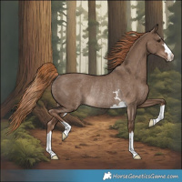 Horse Color:Liver Red Dun Rabicano 