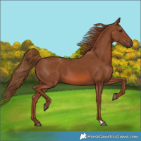Horse Color:Chestnut 
