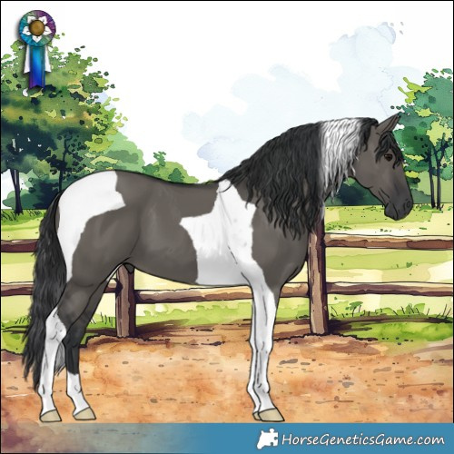Horse Color:Grullo Tobiano 