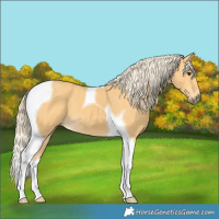 Horse Color:Palomino Tobiano 