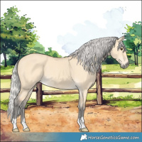 Horse Color:Silver Buckskin Dun