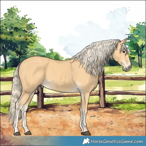 Horse Color:Palomino 