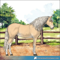 Horse Color:Palomino