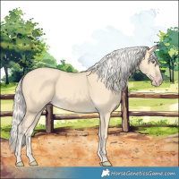 Horse Color:Gold Cream Champagne 