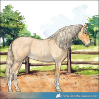 Horse Color:Palomino Roan