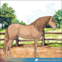 Horse Color:Gold Champagne