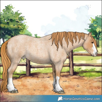 Horse Color:Red Roan