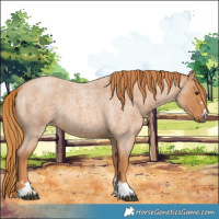 Horse Color:Red Roan